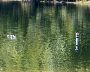 20250914-C-0002.jpg