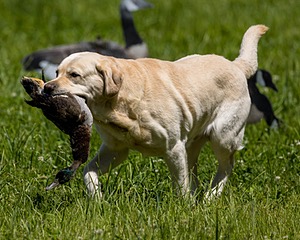 20220605-FINL-1631.jpg