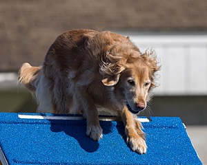 20230917-PVKC-2611.jpg