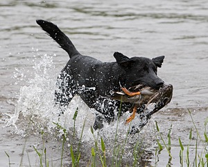 20080531-HRW-1023.jpg