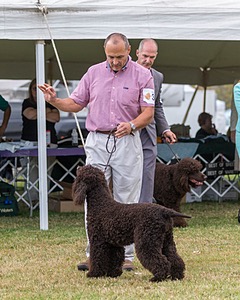 34 - LANDACRE'S NORDIC PIPER RN DJ (Piper)