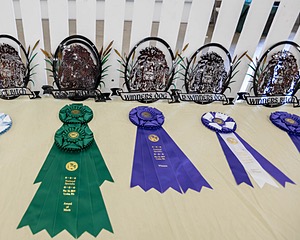 20190515-C-0012.jpg