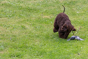 20190512-BD-0019.jpg