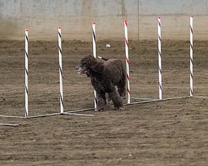 20190513-AG-0218.jpg