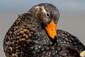 20191220-0437.jpg