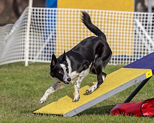 20230916-PVKC-1621.jpg