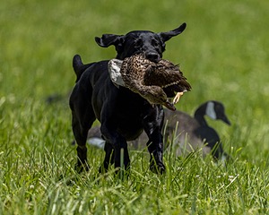 20220605-FINL-1825.jpg
