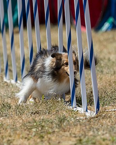 20160618-CCKC-1848.jpg