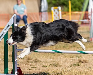 20160619-CCKC-0113.jpg