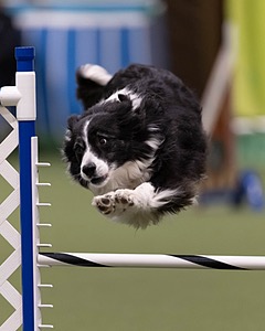 20260221-0097.jpg