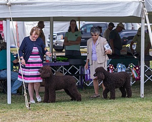 20190928-0152.jpg