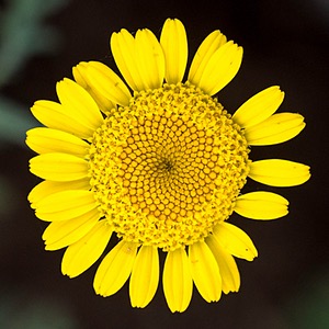 20250716-0009.jpg