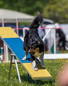 20170520-NEAT-1139.jpg