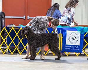 20260228-0062.jpg