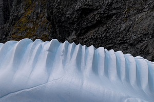 20260319-0044.jpg