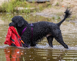20210912-MWD-0168.jpg