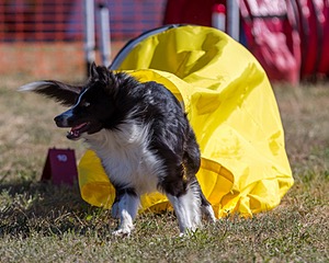 20160618-CCKC-0185.jpg