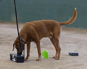 20260718-NSKC-0582.jpg