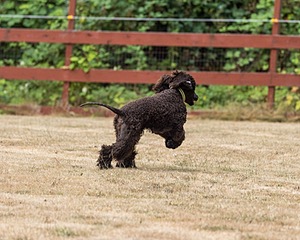 20220828-BD-0048.jpg