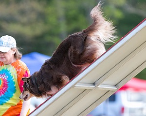 20150614-CCKC-0071.jpg