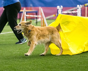 20150322-LEAP-0604.jpg