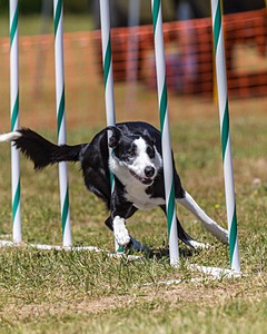 20180617-1014.jpg