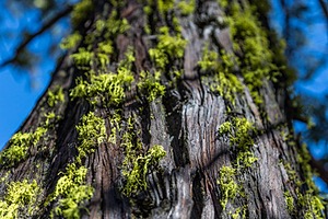 20170211-0116.jpg