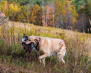 20191013-VetL-0035.jpg