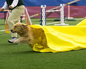 20150322-LEAP-0741.jpg