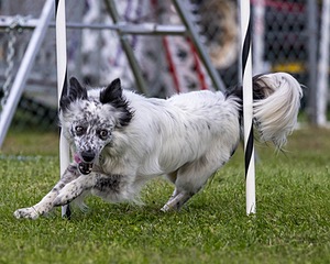 20230917-PVKC-2811.jpg