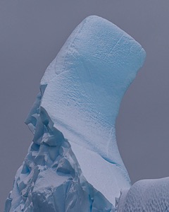 20260321-0223.jpg