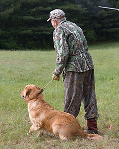 Sunfire Padraig of Golden Pond