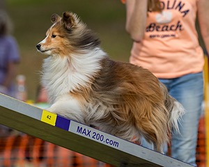 20180616-1829.jpg