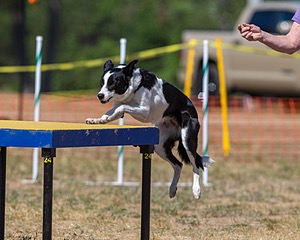 20160619-CCKC-1684.jpg