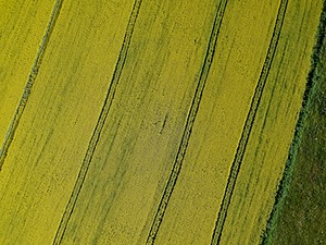 DCIM/101MEDIA/DJI_0107.JPG