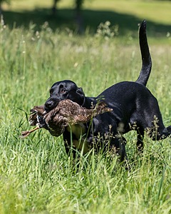 20210606-SEAL-1627.jpg