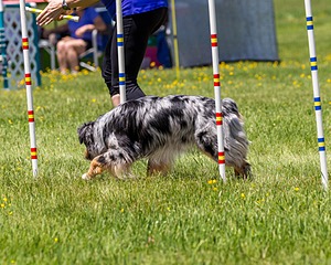 20170520-NEAT-1421.jpg