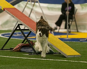 20150321-LEAP-1318.jpg