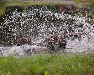 20130713-MHB2-0342.jpg