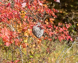 20191013-C-0034.jpg