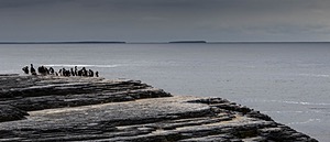 20191214-0285.jpg