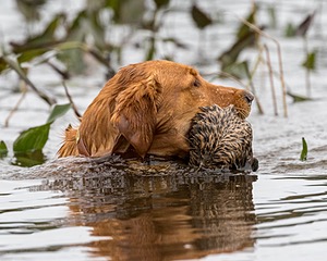 Lucy Boncek