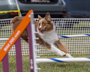 20230916-PVKC-2049.jpg