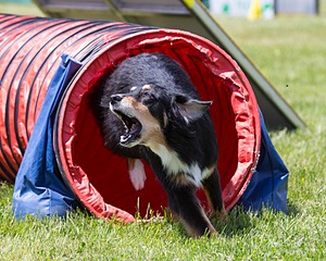 20160514-NEAT-0769.jpg