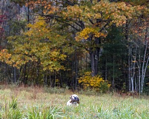 20241013-WCL-0002.jpg