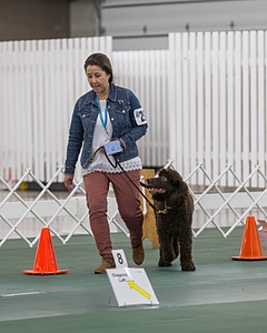 20190514-RA-0328.jpg