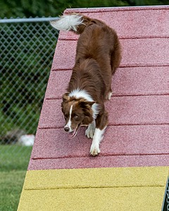 20200819-0996.jpg