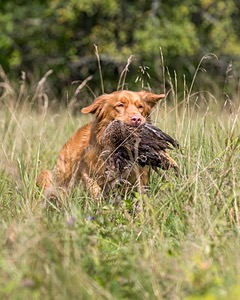 Jake Patterson