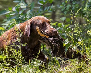 20170716-WCXW-1286.jpg