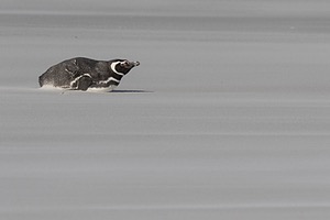 20191220-0911.jpg